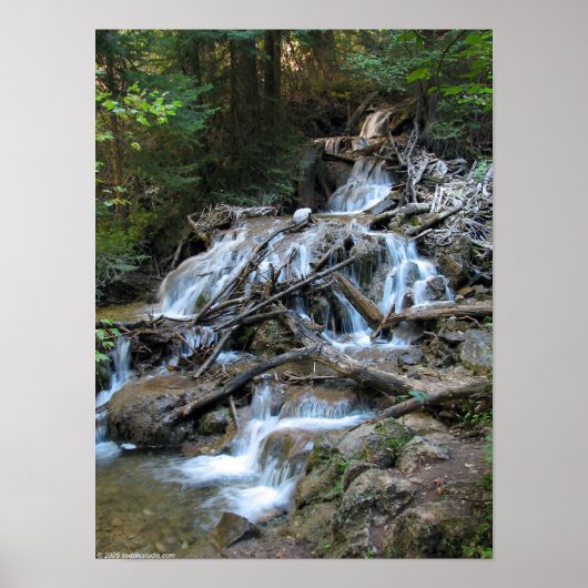 Wilde natuur Waterval Poster (Voorkant)