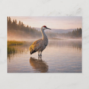 Wilde natuur Zandheuvelkraan Wetland Briefkaart