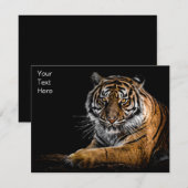 Wilde Oerwoud Dierlijke Tijger (Voorkant / Achterkant)