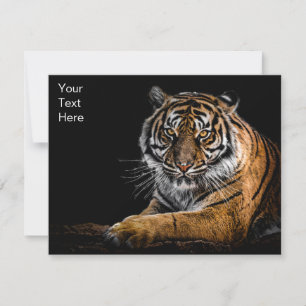 Wilde Oerwoud Dierlijke Tijger