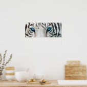 Wilde ogen - White Tiger Art Poster of Print (Keuken)