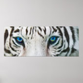 Wilde ogen - White Tiger Art Poster of Print (Voorkant)