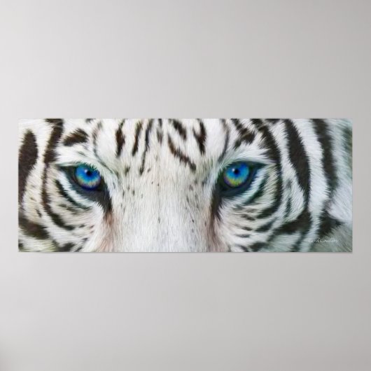 Wilde ogen - White Tiger Art Poster of Print (Voorkant)
