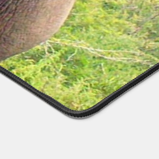 Wilde olifant in het Oerwoud Bureaumat (Hoek)