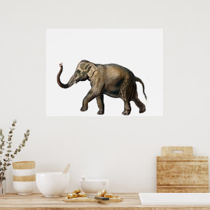 wilde olifant poster