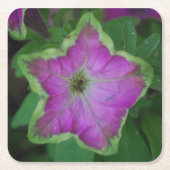 Wilde Onderzetters (Voorkant)