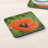 Wilde Oranje papaver (NZ) Set van 6 Onderzetter (Linkerzijde)