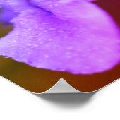 Wilde Orchidee Bloem  Poster (Hoek)