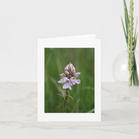 Wilde Orchidee Notecard Kaart (Voorkant)