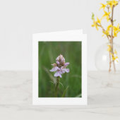 Wilde Orchidee Notecard Kaart (Gele Bloem)