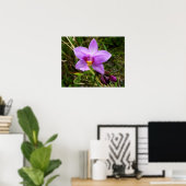 Wilde Orchidee Paarse Tropische Bloem Poster (Thuiskantoor)