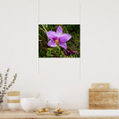Wilde Orchidee Paarse Tropische Bloem Poster (Keuken)