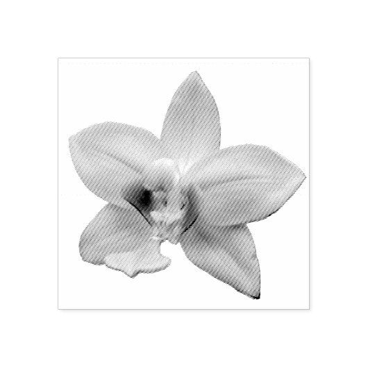Wilde Orchidee Paarse Tropische Bloem Rubberstempel (Afrduk)