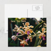 Wilde Orchidee Save The Date Ansichtkaart Aankondigingskaart (Voorkant / Achterkant)