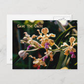 Wilde Orchidee Save The Date Briefkaart (Voorkant / Achterkant)
