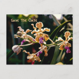 Wilde Orchidee Save The Date Postkaart Aankondigingskaart