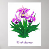 Wilde orchideeën - Lichte Paarse orchideeën en oli Poster (Voorkant)