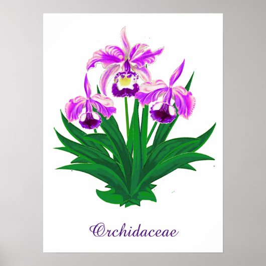 Wilde orchideeën - Lichte Paarse orchideeën en oli Poster (Voorkant)