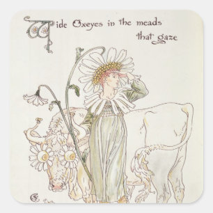 Wilde Oxeye in Meads die zich vergaten Vierkante Sticker