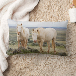 Wilde paard dat rondloopt op de prairie van Cody Kussen