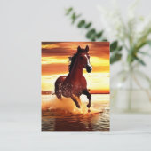 Wilde Paard galoppeert door Surf Briefkaart (Staand voorkant)