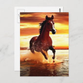 Wilde Paard galoppeert door Surf Briefkaart (Voorkant / Achterkant)