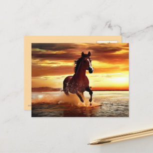 Wilde Paard galoppeert door Surf Briefkaart