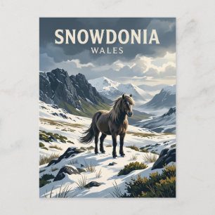 Wilde paard in Snowdonia Verenigd Koninkrijk Briefkaart