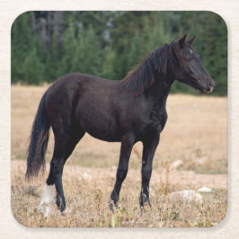 Wilde Paard Kartonnen Onderzetters