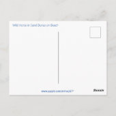 Wilde paard op grazige duin bij zonsondergang verj briefkaart (Achterkant)