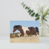 Wilde paard, Steens Mountains Briefkaart (Staand voorkant)