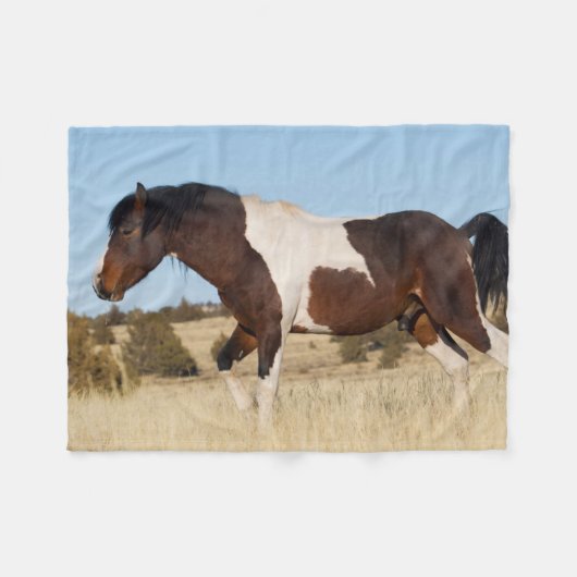 Wilde Paard, Steens Mountains Fleece Deken (Voorkant (Horizontaal))