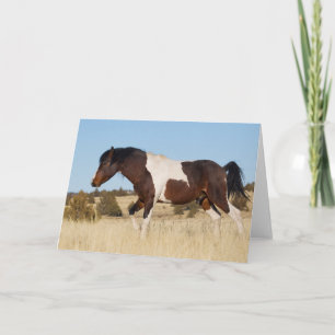 Wilde Paard, Steens Mountains Kaart