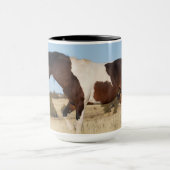 Wilde paard, Steens Mountains Mok (Midden)