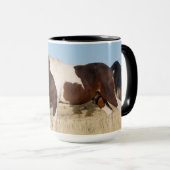 Wilde paard, Steens Mountains Mok (Voorkant rechts)