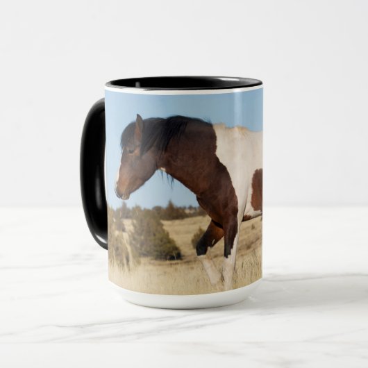 Wilde paard, Steens Mountains Mok (Voorkant links)