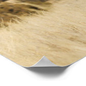 Wilde Paard, Steens Mountains Poster (Hoek)