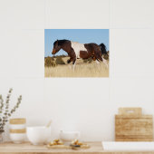 Wilde Paard, Steens Mountains Poster (Keuken)