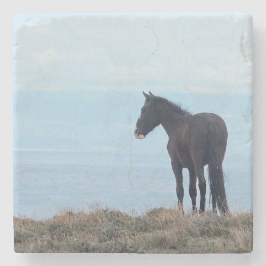 Wilde Paard Stenen Onderzetter (Voorkant)