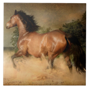 wilde paard tegel tegeltje