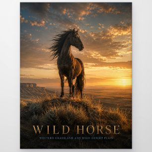 Wilde Paard Westelijke Grasland DIEREN Briefkaart