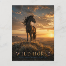 Wilde Paard Westelijke Grasland DIEREN Briefkaart