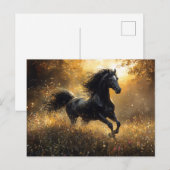 Wilde Paard Zwarte Hengst Mustang Briefkaart (Voorkant / Achterkant)