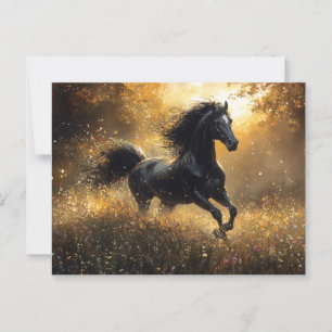 Wilde Paard Zwarte Hengst Mustang Briefkaart
