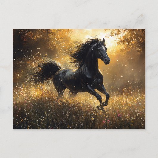 Wilde Paard Zwarte Hengst Mustang Briefkaart (Voorkant)