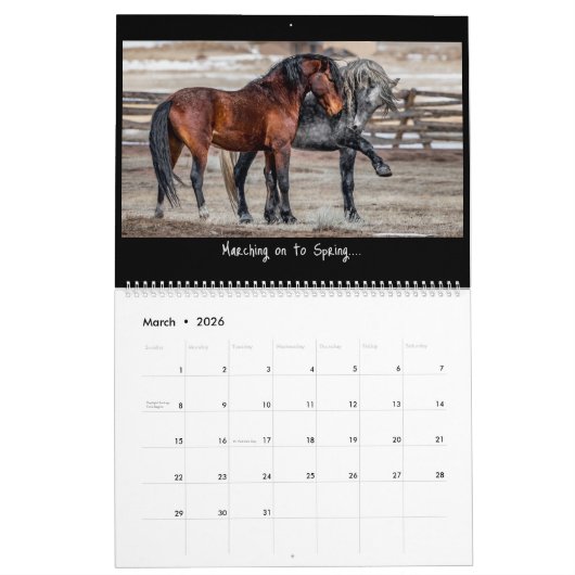 Wilde paarden 2023 kalender (Mar 2026)