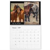 Wilde paarden 2023 kalender (Feb 2027)