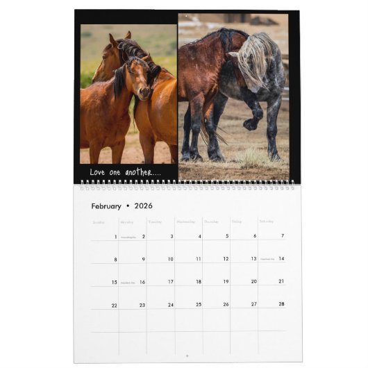 Wilde paarden 2023 kalender (Feb 2026)