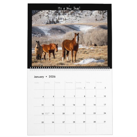 Wilde paarden 2023 kalender (Jan 2026)