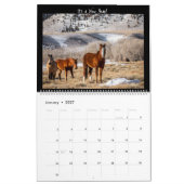 Wilde paarden 2023 kalender (Jan 2027)